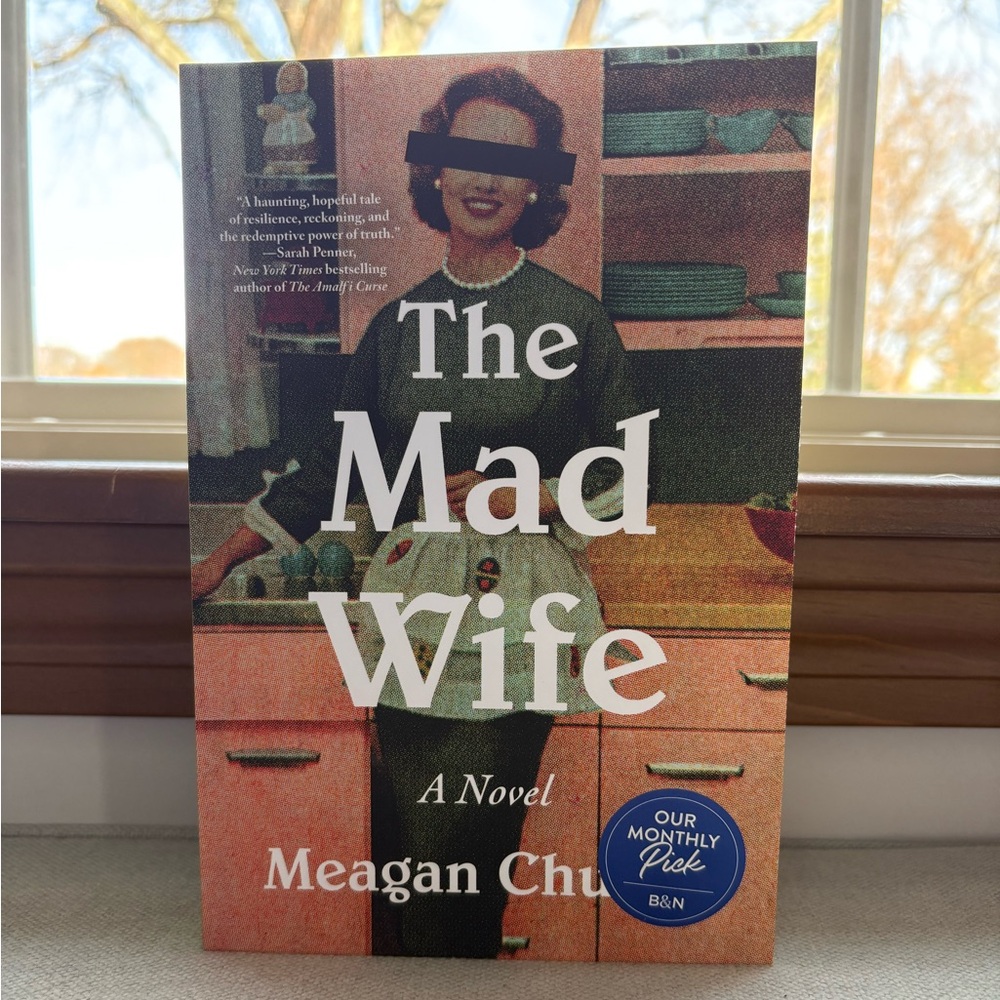 The Mad Wife by Meagan Church Novel